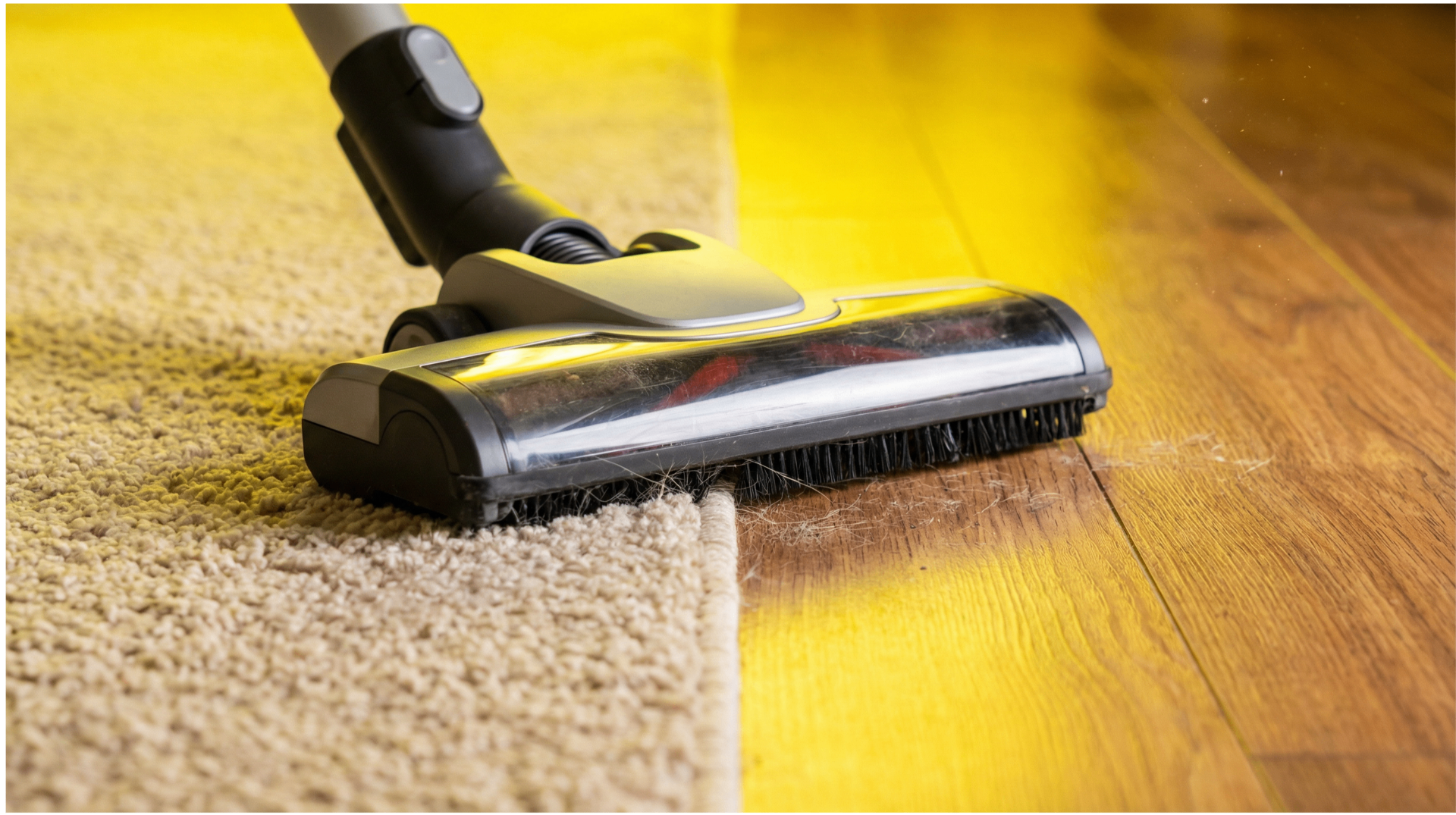 Vacuum cleaning on carpet and hardwood floor transition